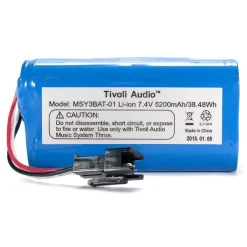 Tivoli Audio Batterie MSY3 (blau)