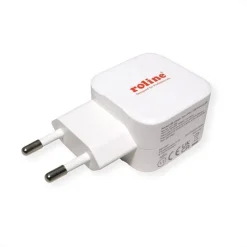 Roline USB Adapter - Mit Euro-Stecker, 2 Port 20W (weiss) -Pioneer DJ Geschäft a122190 638128447744260150 700x700 vcenterhcenter.jpeg