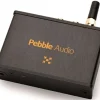 Pebble Audio Empfänger - RCARXi (schwarz) -Pioneer DJ Geschäft a4401 637031819934947981 700x700 vcenterhcenter.jpeg