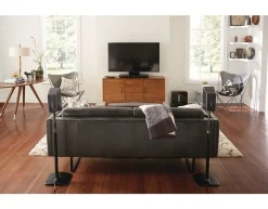 Sanus PLAY:1-3 & One Standfuss - WSSA1-B2 (Einzel) (schwarz) -Pioneer DJ Geschäft a45281 636765896704330450 700x700 vcenterhcenter.jpeg