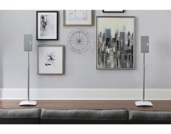 Sanus PLAY:1-3 & One Standfuss - WSSA2-W2 (Paar) (weiss) -Pioneer DJ Geschäft a45295 636765916143833410 700x700 vcenterhcenter.jpeg